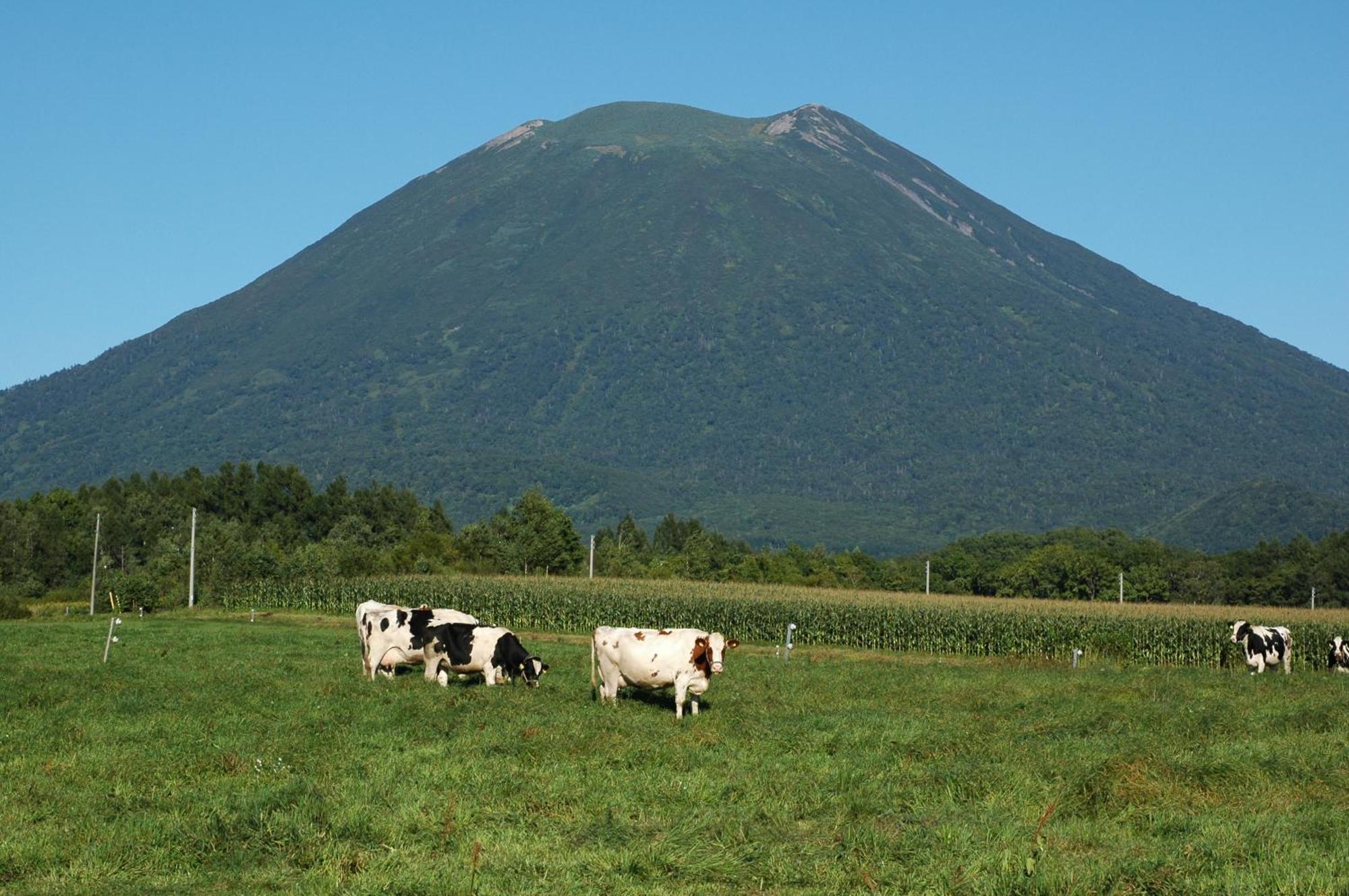 Niseko Highland Cottages Exterior photo